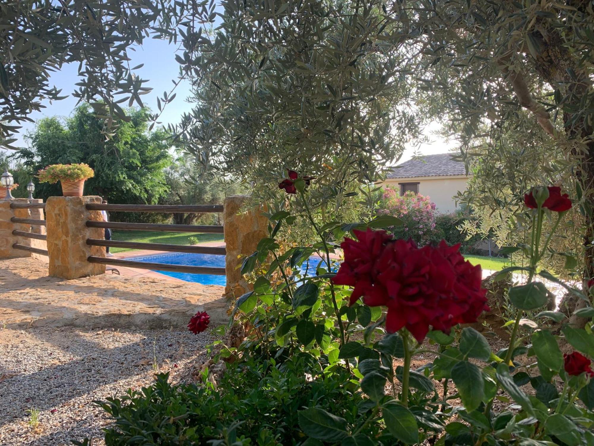 Lenta Suites Pozo Alcón Екстериор снимка